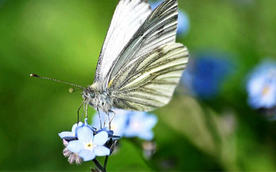 naturgenießenimstauferland